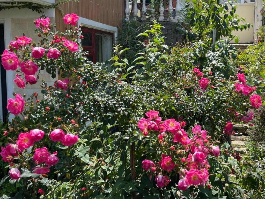 La Roza Dalat Boutique Hotel المظهر الخارجي الصورة