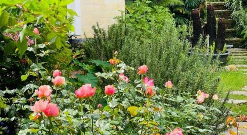 La Roza Dalat Boutique Hotel المظهر الخارجي الصورة
