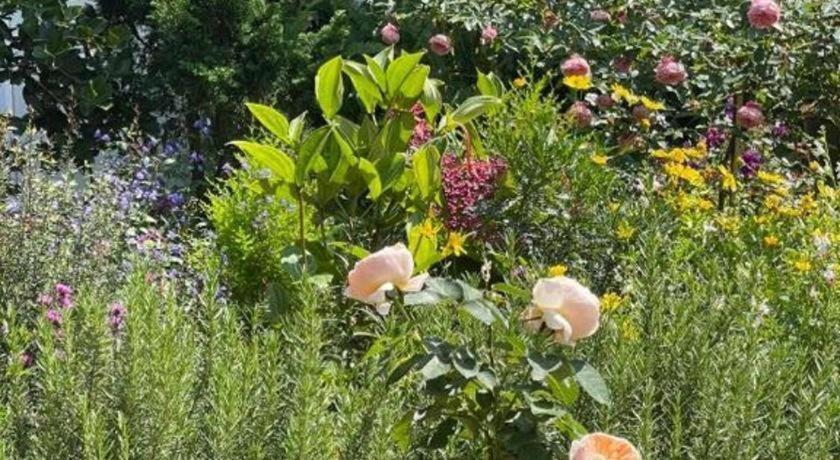 La Roza Dalat Boutique Hotel المظهر الخارجي الصورة