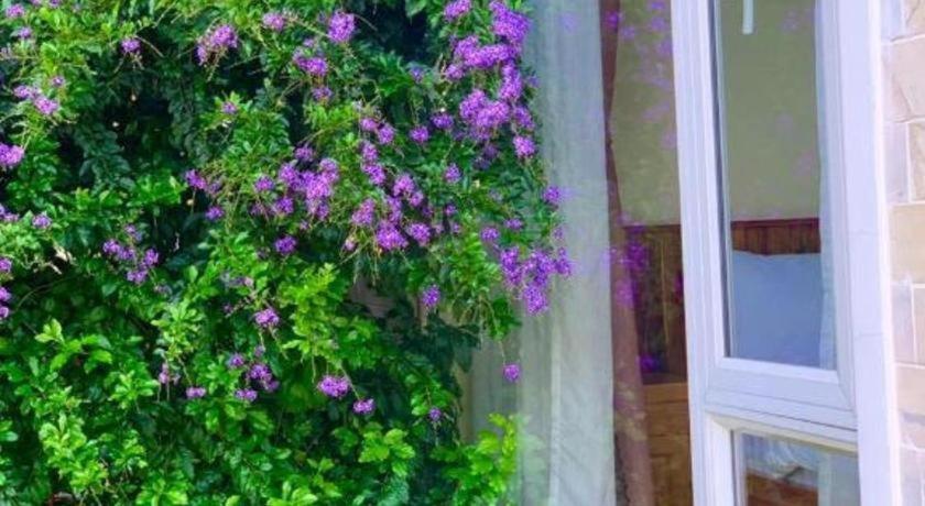 La Roza Dalat Boutique Hotel المظهر الخارجي الصورة